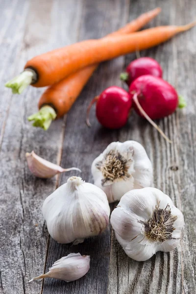 Aglio, ravanelli e carote — Foto Stock