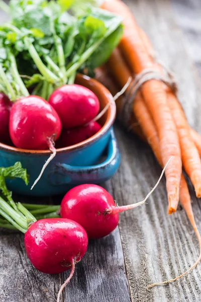 Radishes and Carrots — Stok fotoğraf