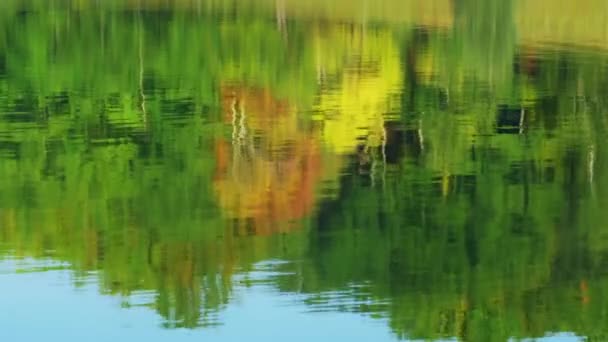 Reflejo del bosque y el cielo en el agua corriente — Vídeos de Stock