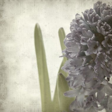 desenli eski kağıt arkaplan  