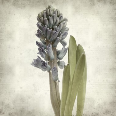 desenli eski kağıt arkaplan  