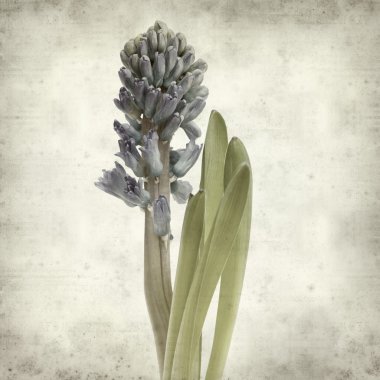 desenli eski kağıt arkaplan  