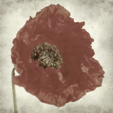 desenli eski kağıt arkaplan  