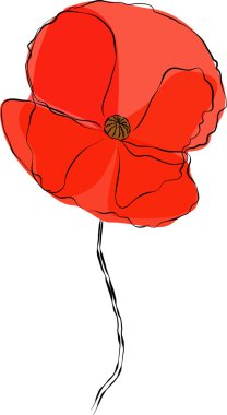 Haşhaş çiçek şekil