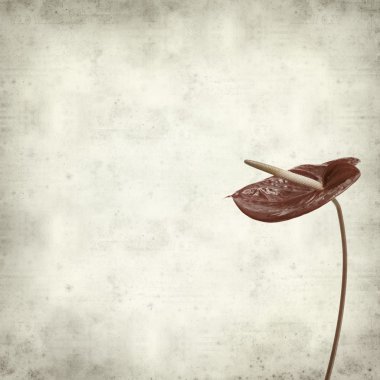 desenli eski kağıt arkaplan  