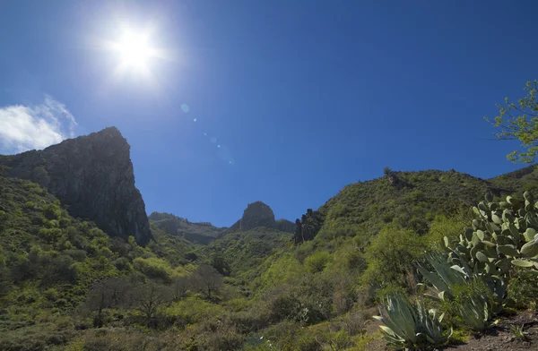 Gran canaria, Gemeinde Valsequillo — Stockfoto