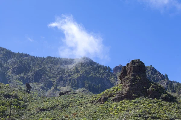 Gran Canaria, Valsequillo municipio — Foto de Stock