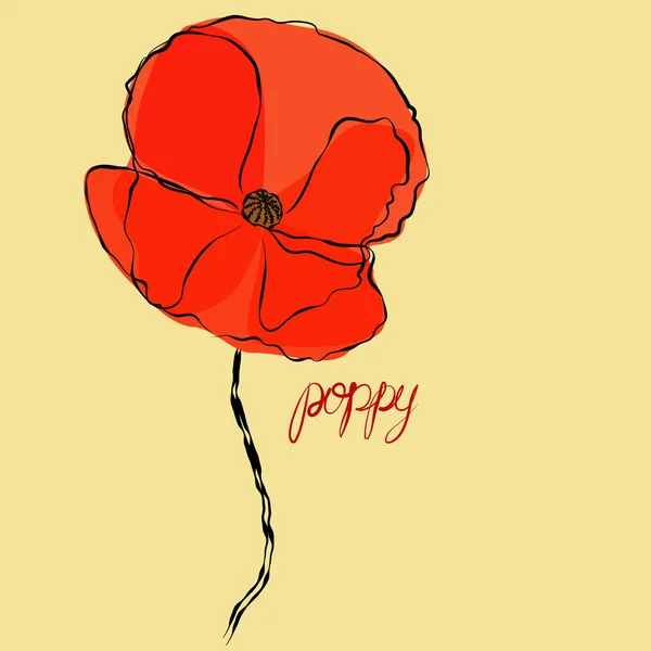 Poppy  flower illustration — Stock Photo, Image