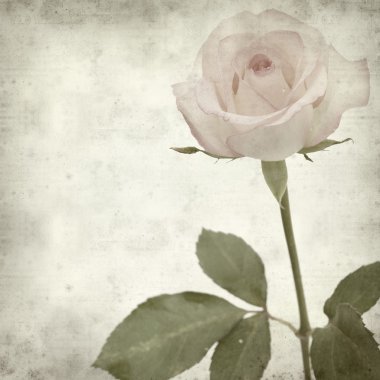 desenli eski kağıt arkaplan  