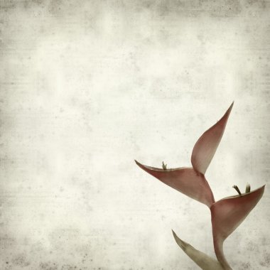 desenli eski kağıt arkaplan  