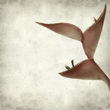 desenli eski kağıt arkaplan  