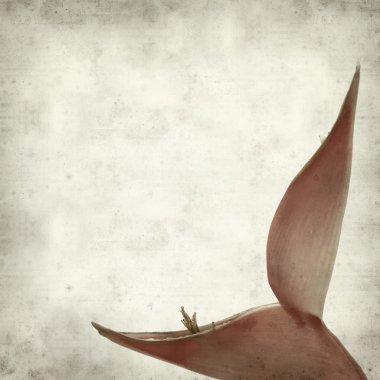 desenli eski kağıt arkaplan  