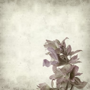 desenli eski kağıt arkaplan  