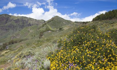 Gran Canaria, Caldera de Tejeda Nisan ayında