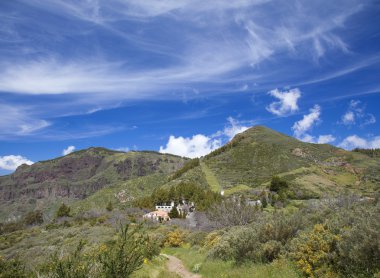 Gran Canaria, Caldera de Tejeda Nisan ayında