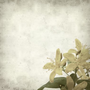 desenli eski kağıt arkaplan  