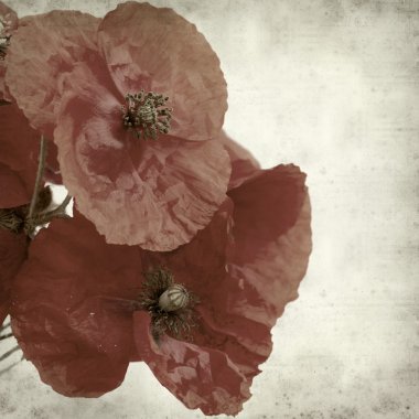 desenli eski kağıt arkaplan  