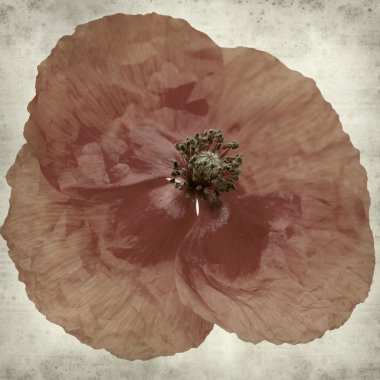 desenli eski kağıt arkaplan  