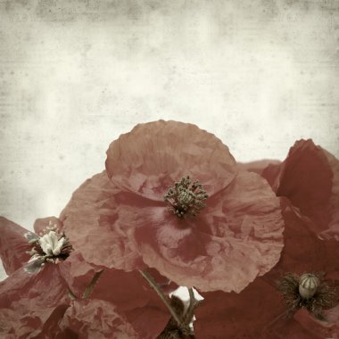 desenli eski kağıt arkaplan  