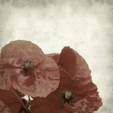 desenli eski kağıt arkaplan  