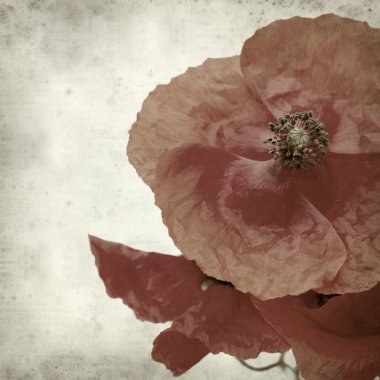 desenli eski kağıt arkaplan  