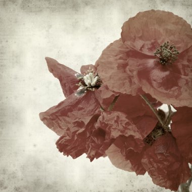 desenli eski kağıt arkaplan  