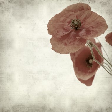 desenli eski kağıt arkaplan  