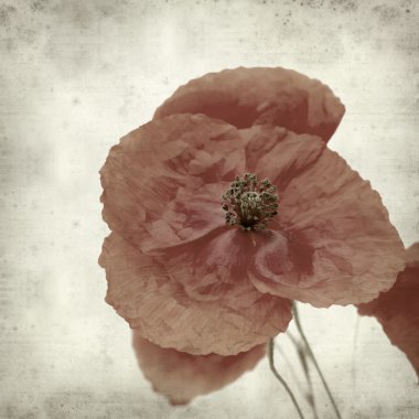 desenli eski kağıt arkaplan  