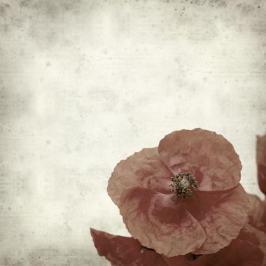 desenli eski kağıt arkaplan  