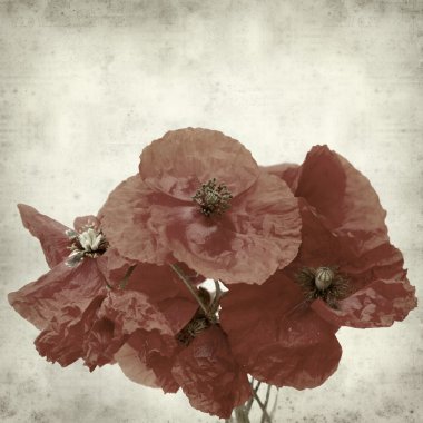 desenli eski kağıt arkaplan  