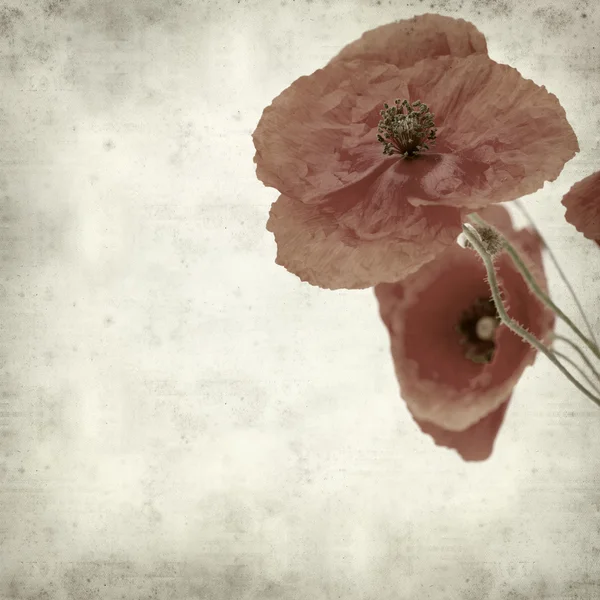 desenli eski kağıt arkaplan  