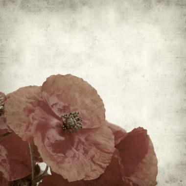 desenli eski kağıt arkaplan  