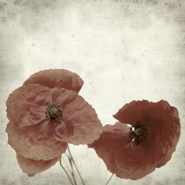 desenli eski kağıt arkaplan  