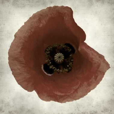 desenli eski kağıt arkaplan  