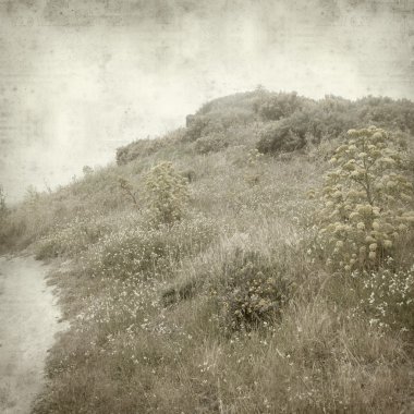 desenli eski kağıt arkaplan  