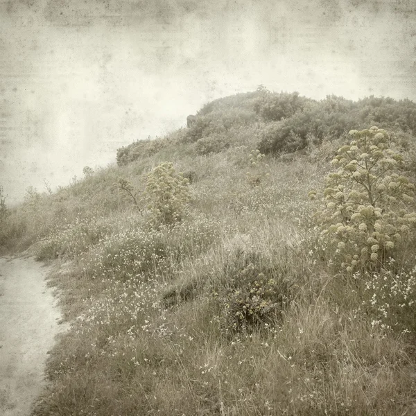 desenli eski kağıt arkaplan  