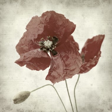 desenli eski kağıt arkaplan  