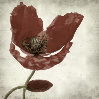 desenli eski kağıt arkaplan  