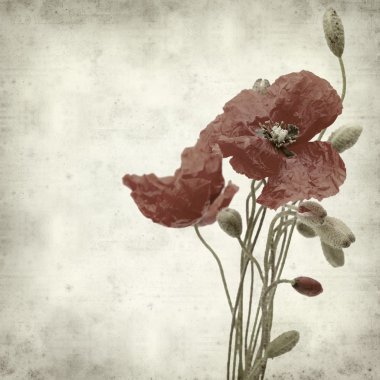 desenli eski kağıt arkaplan  