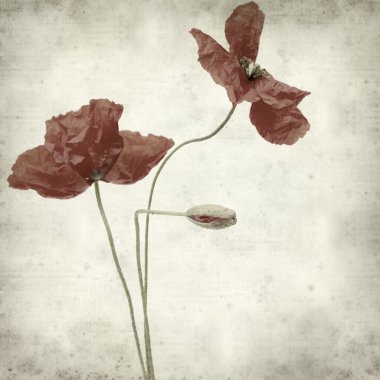 desenli eski kağıt arkaplan  