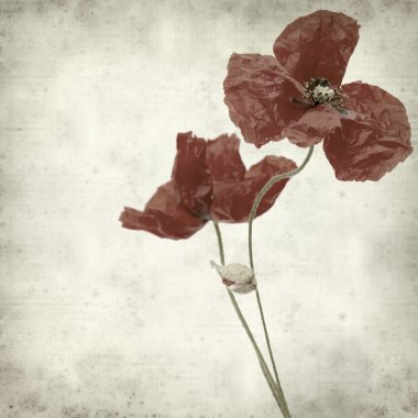 desenli eski kağıt arkaplan  