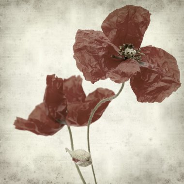 desenli eski kağıt arkaplan  