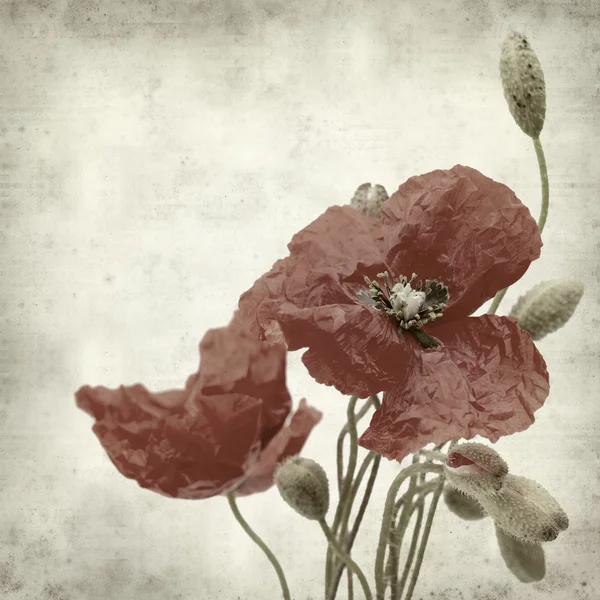 desenli eski kağıt arkaplan  