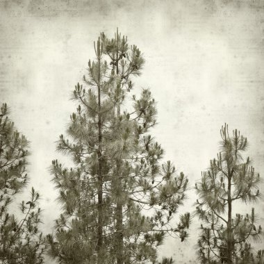 desenli eski kağıt arkaplan  