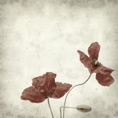 desenli eski kağıt arkaplan  