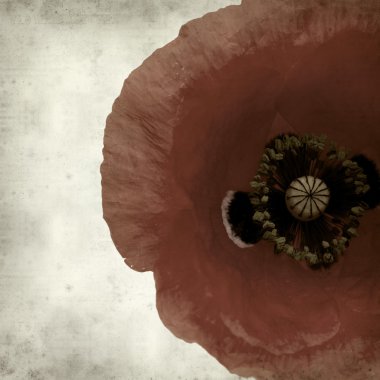 desenli eski kağıt arkaplan  