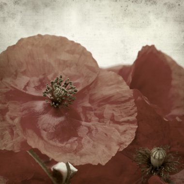 desenli eski kağıt arkaplan  