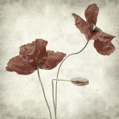 desenli eski kağıt arkaplan  