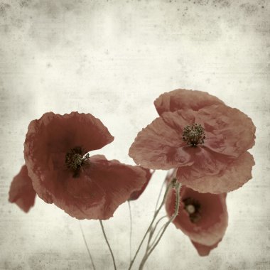 desenli eski kağıt arkaplan  