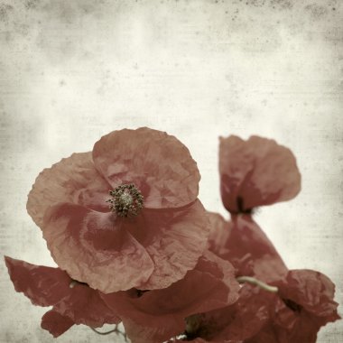 desenli eski kağıt arkaplan  